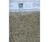 Monara Fennel Seeds 150g